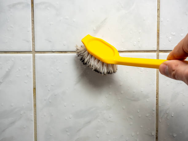 Trusted Lake Wildwood, CA Mold Removal Experts