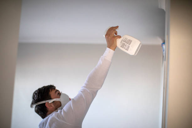 Mold Testing and Removal in Lake Wildwood, CA