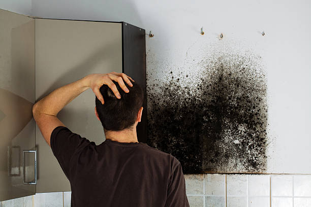 Best Mold Testing  in Lake Wildwood, CA
